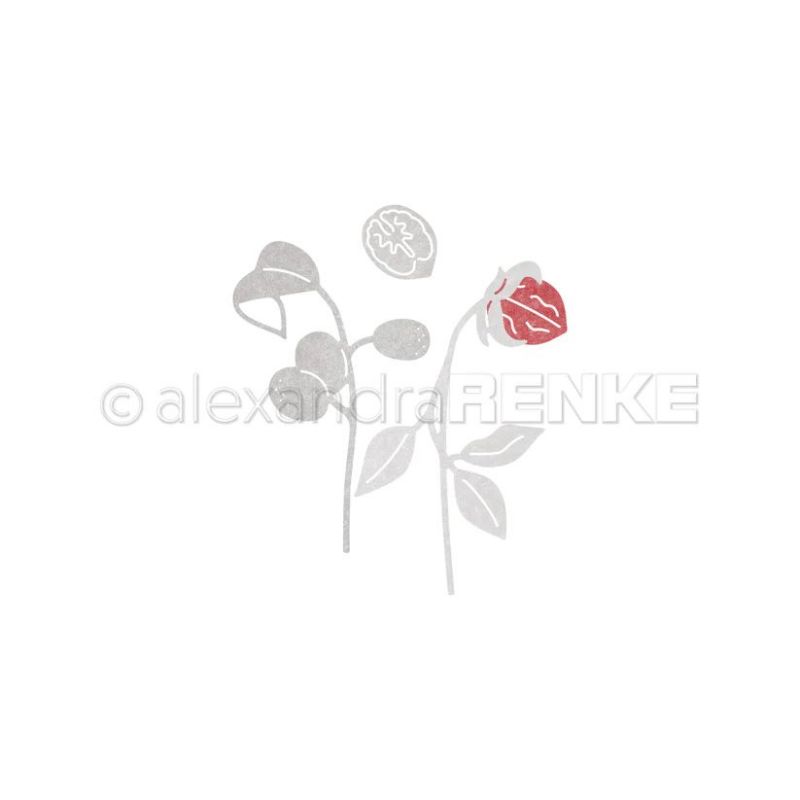 Troqueles de corte de metal Pi - Stencil Cutting Plotter reseña y precio